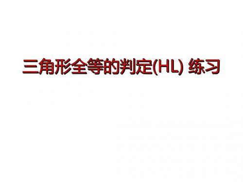 12.2.4  利用HL判定直角三角形全等练习
