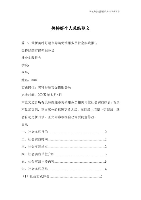 美特好个人总结范文