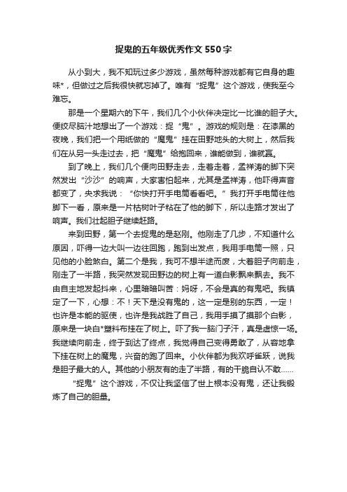 捉鬼的五年级优秀作文550字