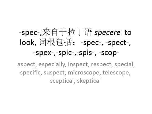 -spec-看,11个相关核心词+课件-2025届高三英语上学期一轮复习专项