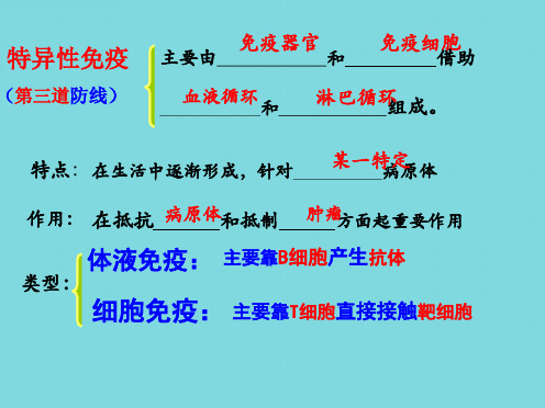 人体的第三道防线体液免疫和细胞免疫的过程(共6张PPT)