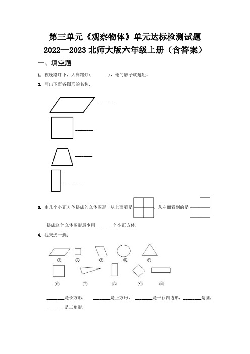 第三单元《观察物体》单元达标检测试题   2022—2023北师大版六年级上册(含答案)