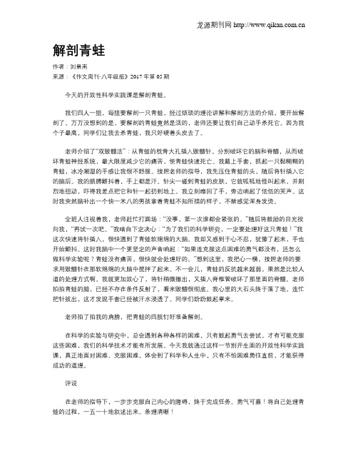 解剖青蛙