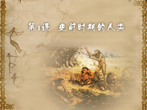 华师大版九年级历史上册 (史前时期的人类)人类起源与上古文明新课件教学