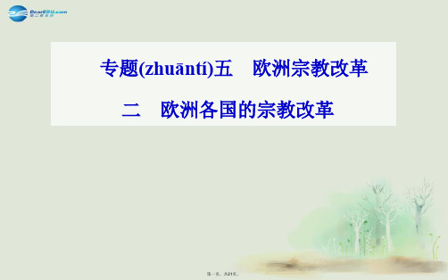 高中历史 专题五、二欧洲各国的宗教改革课件 人民版选修1