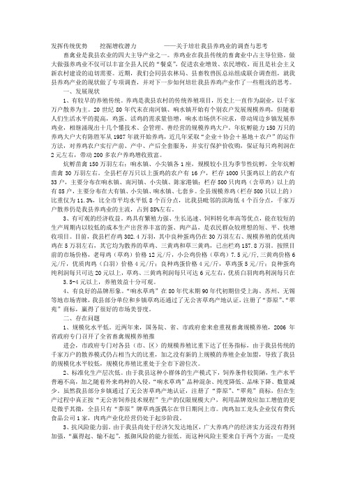 养鸡的调研报告