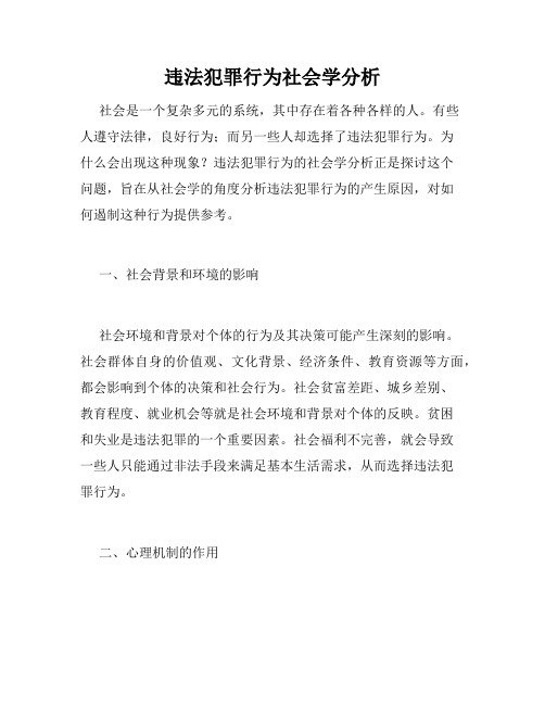 违法犯罪行为社会学分析