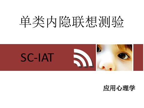 单类内隐联想测验(SC-IAT)