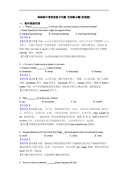 译林版中考英语复习专题 代词练习题(含答案)