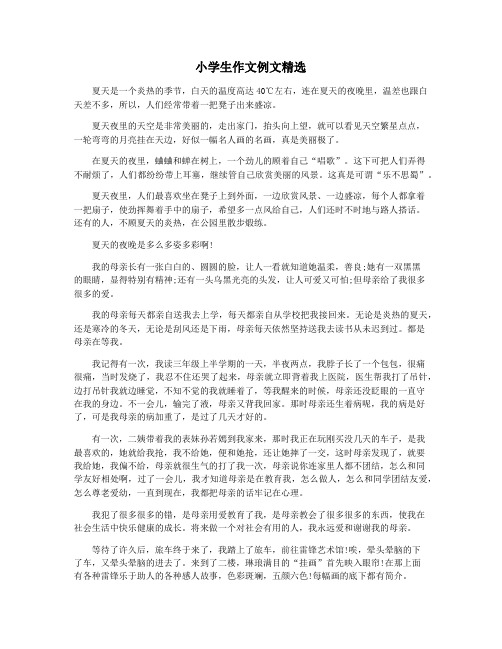 小学生作文例文精选