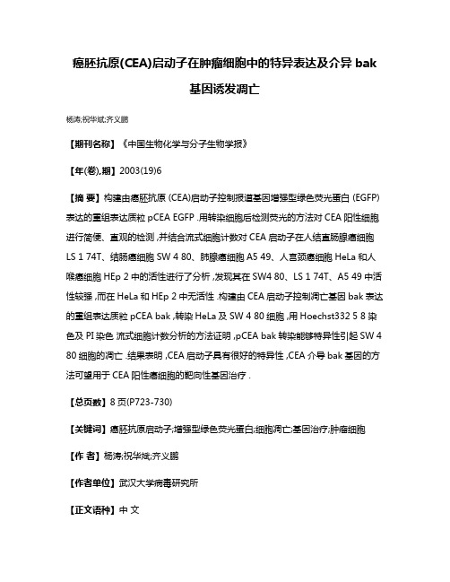 癌胚抗原(CEA)启动子在肿瘤细胞中的特异表达及介异bak基因诱发凋亡