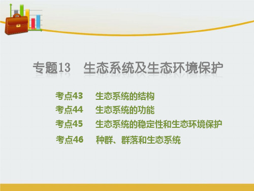 【精编】高考生物二轮复习 专题13 生态系统及生态环境保护课件-精心整理