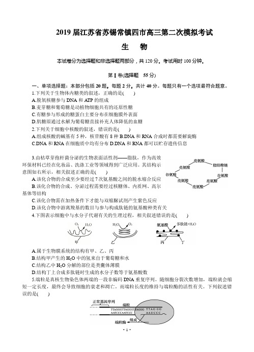 【高考模拟】2019届江苏省苏锡常镇四市高三第二次模拟考试 生物(word版有答案)