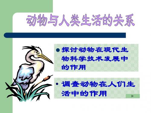 八年级生物_动物与人类生活的关系_ppt