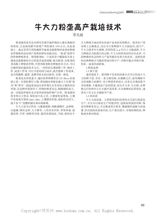 牛大力粉垄高产栽培技术