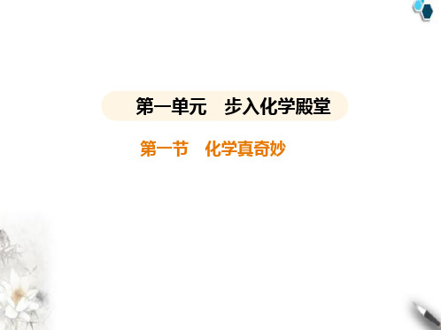 鲁教版初中九年级化学上册第一单元步入化学殿堂第一节化学真奇妙课件