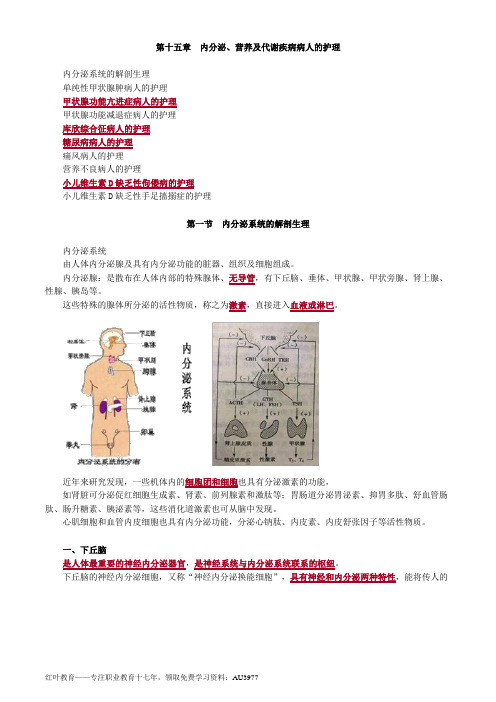 护士资格证知识点总结笔记15内分泌、营养及代谢疾病病人的护理