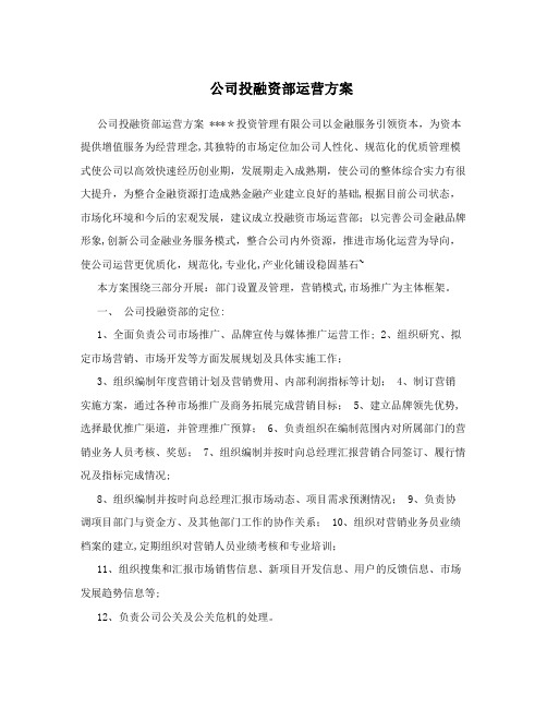 公司投融资部运营方案