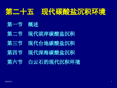 现代海洋碳酸盐环境