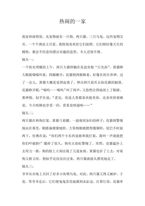 初二叙事热闹的一家