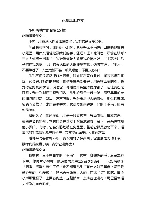 小狗毛毛作文（合集15篇）