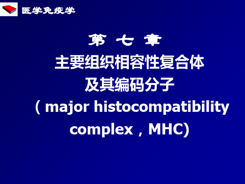 第七章：MHCppt课件