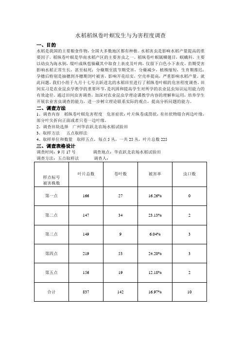 农业昆虫学稻纵卷叶螟田间危害调查