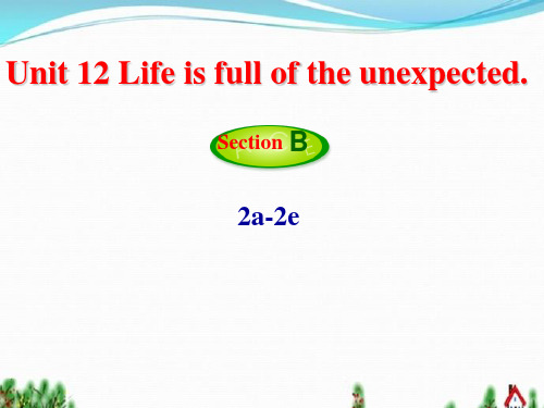 人教新目标九年级英语Unit 12 Life is full of the unexpected sectionB 2a-2e课件(21张ppt)