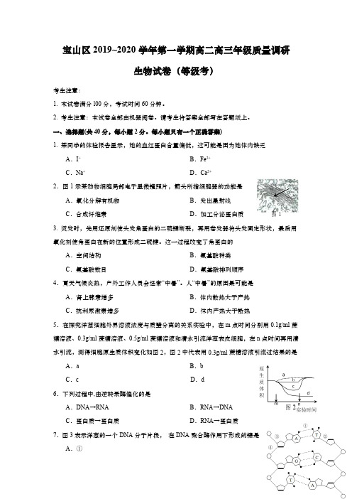 上海市宝山区2020年高二高三第一学期期末(一模)学科质量检测生物试题及答案(逐题详解版)