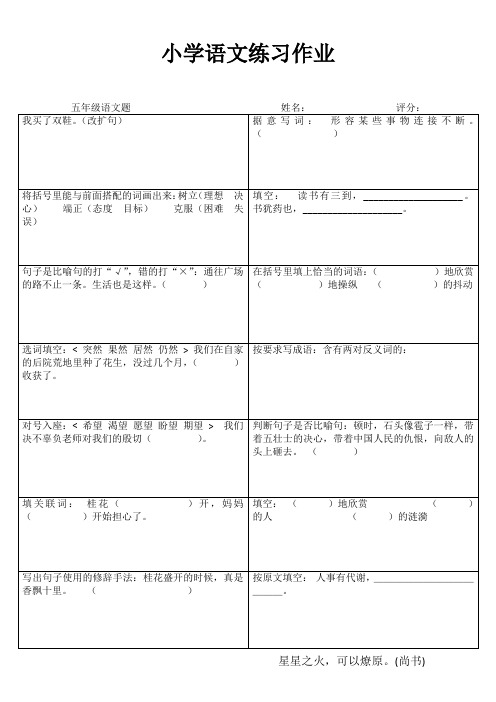 五年级语文课堂拓展精选练习IV (9)