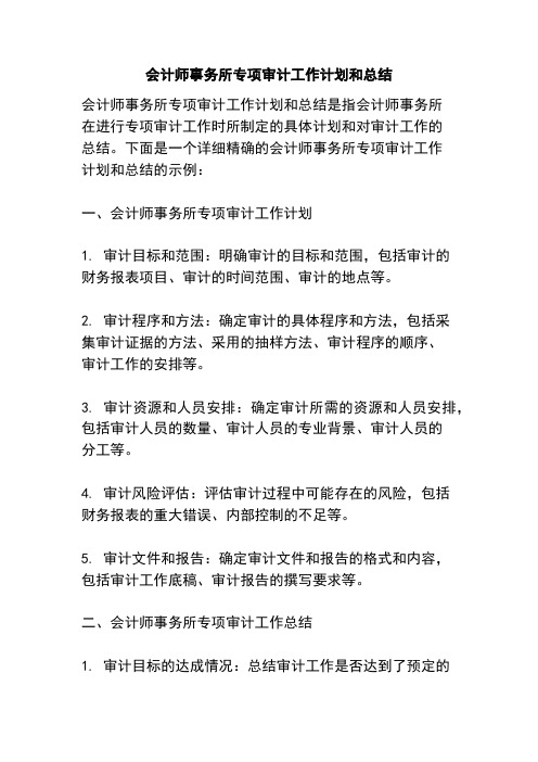 会计师事务所专项审计工作计划和总结