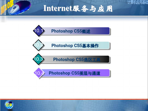 上交大计算机应用基础第10章Internet服务与应用