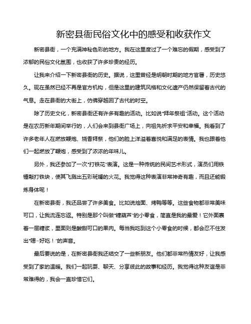 新密县衙民俗文化中的感受和收获作文