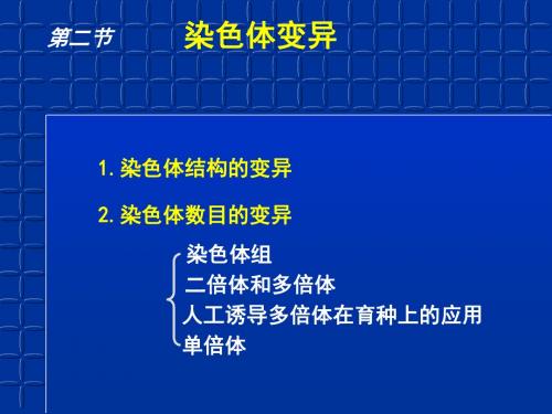 人教版高中生物必修二 5.2染色体变异(共24张PPT)