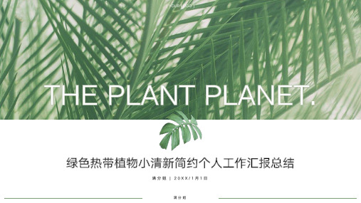 绿色热带植物小清新简约个人工作计划汇报总结通用模版PPT