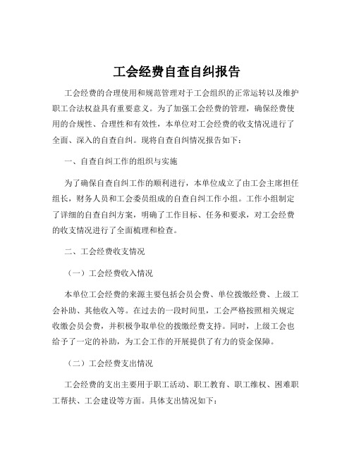 工会经费自查自纠报告