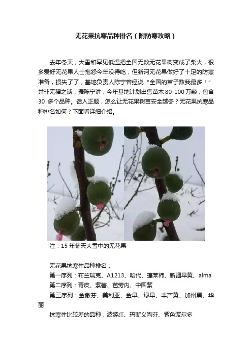 无花果抗寒品种排名（附防寒攻略）