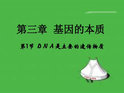 DNA是主要的遗传物质课件PPT