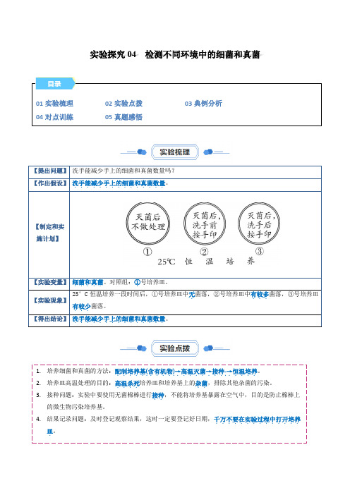 实验探究04 检测不同环境中的细菌和真菌(解析版)