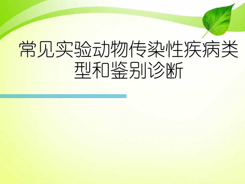 常见实验动物传染性疾病类型和鉴别诊断