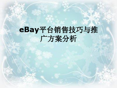 eBay平台销售技巧与推广方案分析