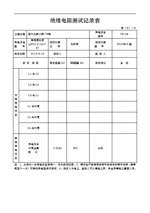 绝缘电阻测试记录文本表