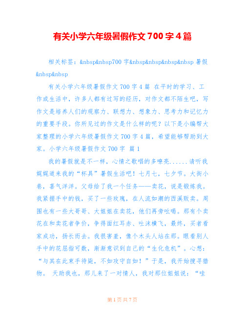 有关小学六年级暑假作文700字4篇