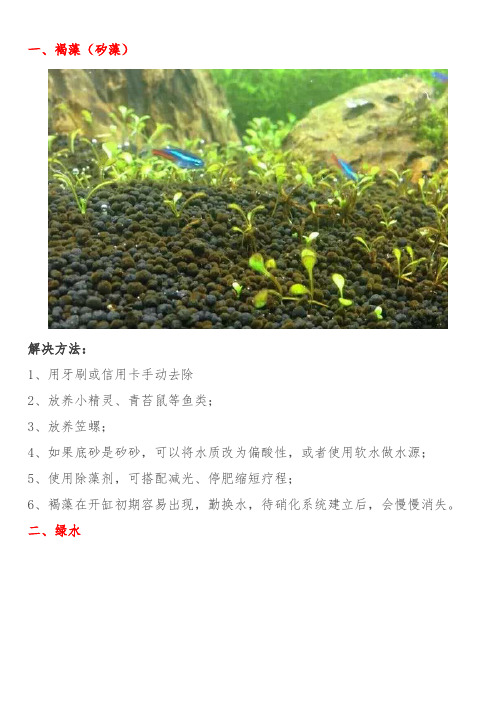 19种鱼缸常见藻类及解决方法(图文详解)