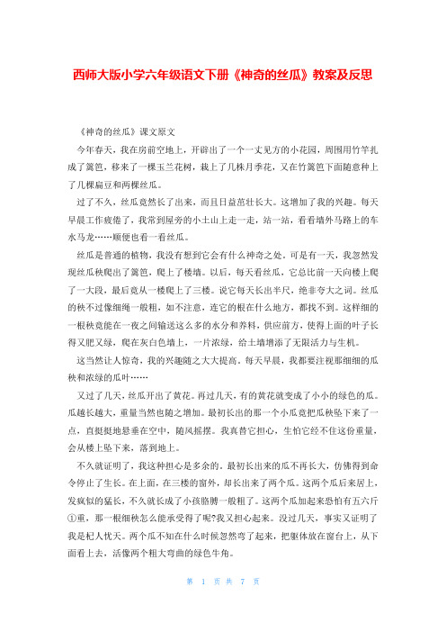 西师大版小学六年级语文下册《神奇的丝瓜》教案及反思