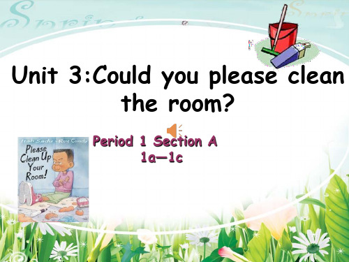 Could you please clean your room-课件ppt