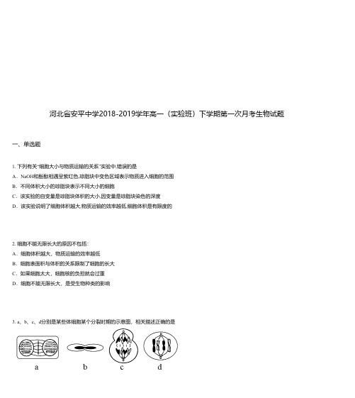 河北省安平中学2018-2019学年高一(实验班)下学期第一次月考生物试题