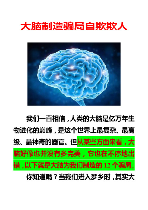 大脑制造骗局自欺欺人——2019年1月28日辑