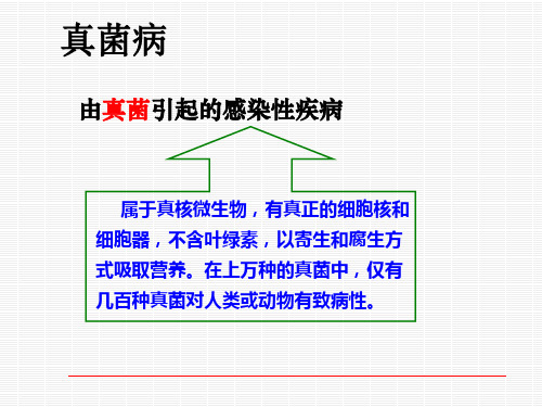 皮肤病实验室检查ppt课件