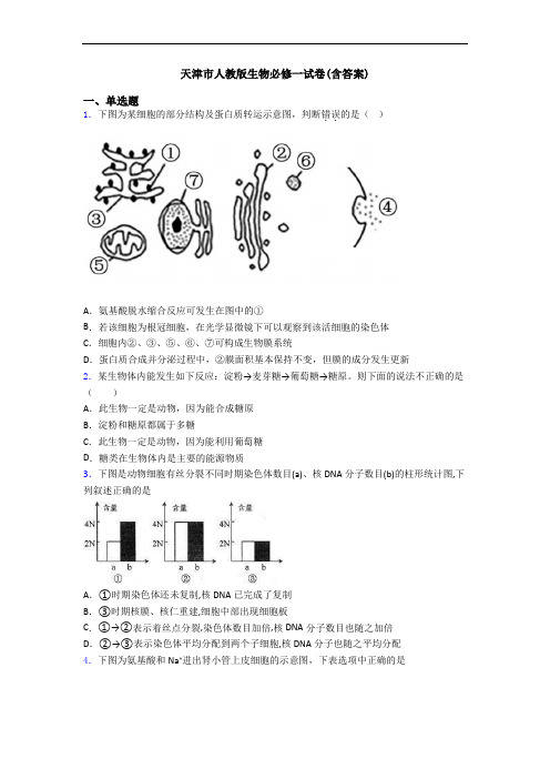 天津市人教版生物必修一试卷(含答案)